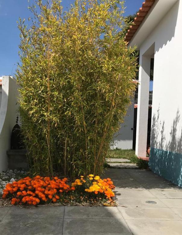Santa Cruz Beach House Areias Buitenkant foto